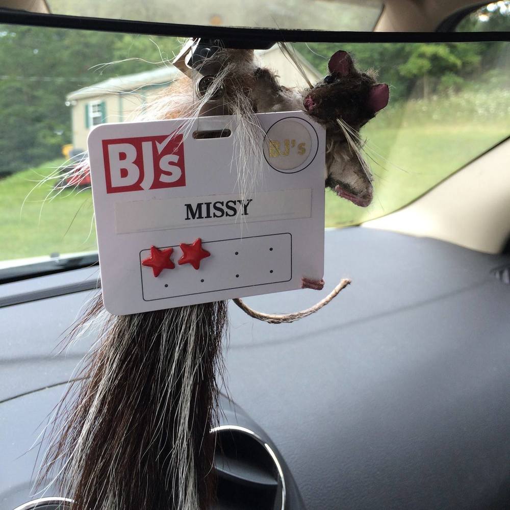 Meet your Posher, Missy